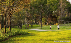 <b>创制一种无</b>